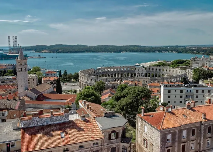 Seagull * Pula